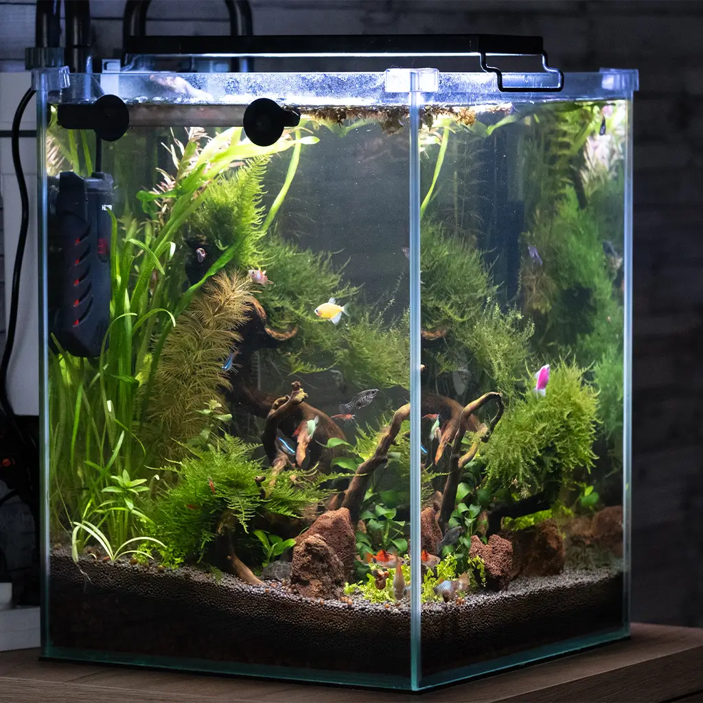 Insider-Wissen für stressfreien Aquarium Transport