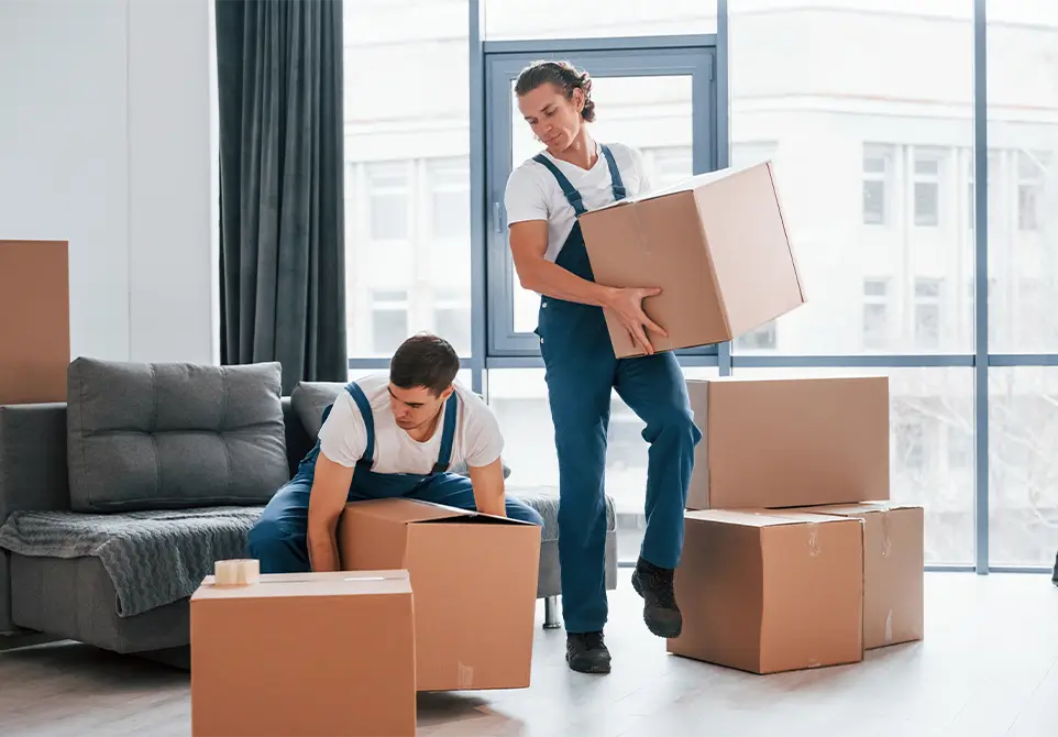 Umzug Nürnberg Berlin: Auch die Rückrichtung