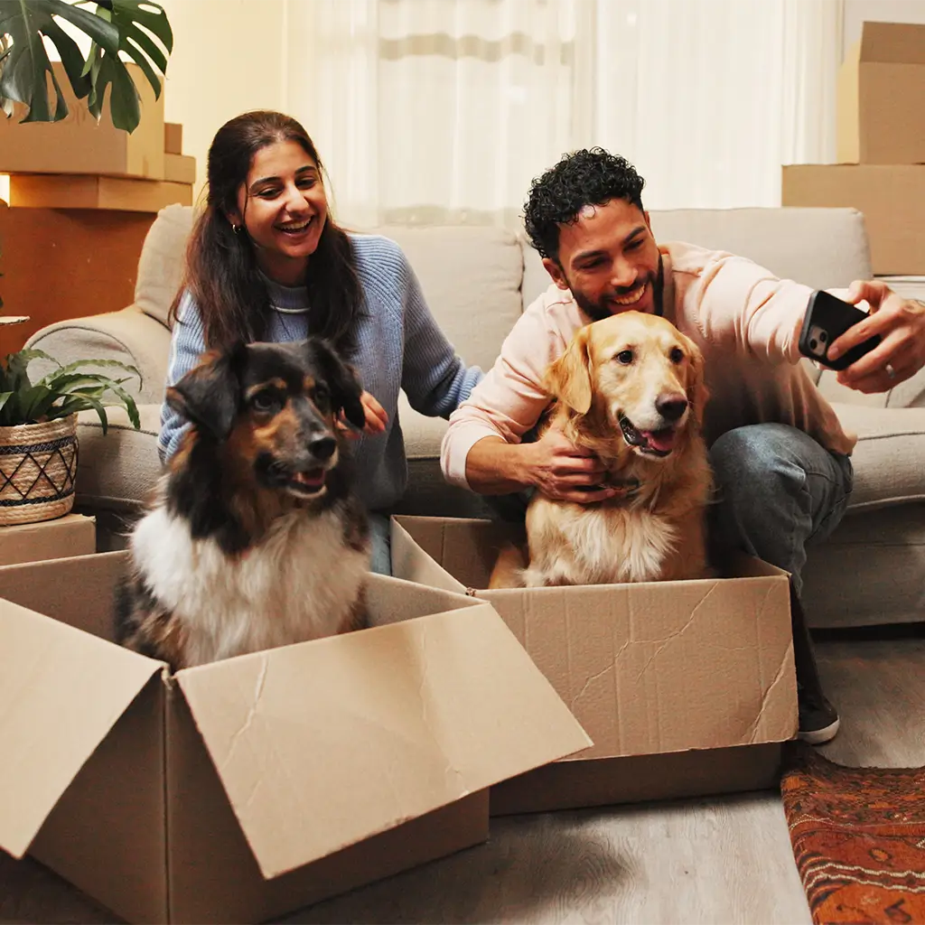 Stressfrei umziehen mit Haustieren