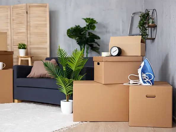 Umzugskartons liefern lassen: Zeitersparnis nutzen